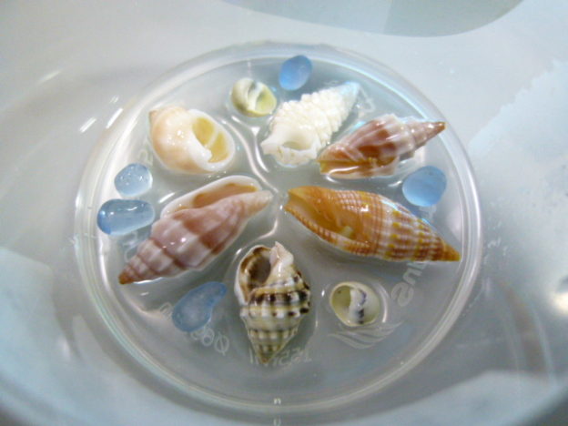 海を封じ込めたボタン