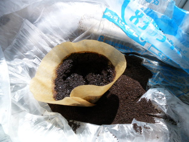 コーヒーの出がらし
