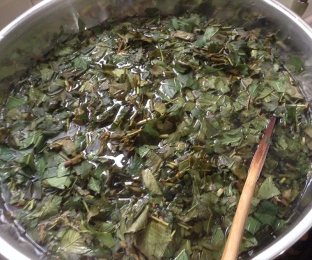 桜の染料を作る