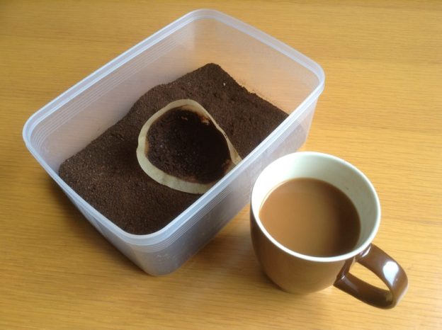 一杯のコーヒーからサステナブル！