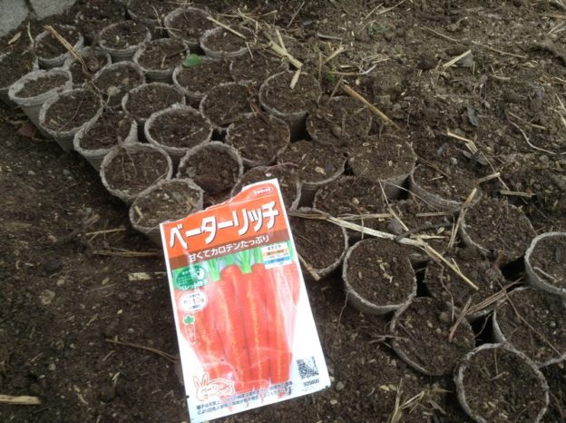 ニンジン栽培で一石二鳥!?