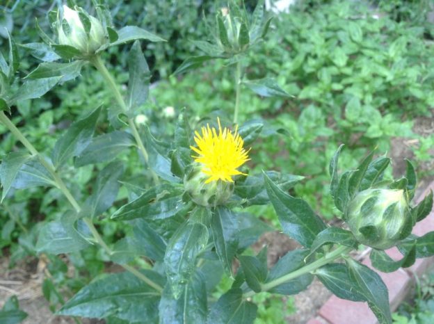 晴耕雨読ならぬ---。