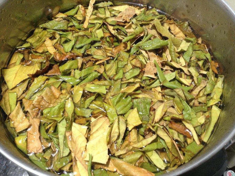 枇杷葉での染め方