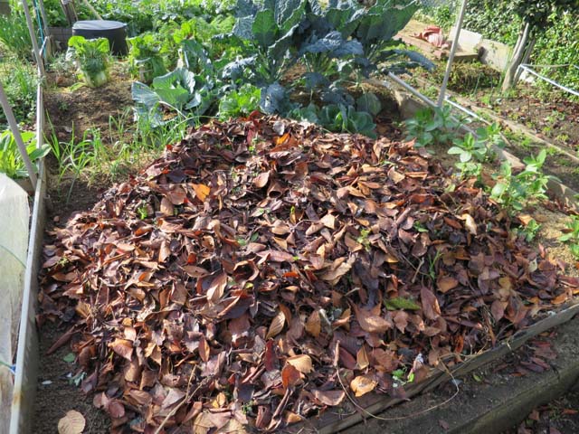 冬支度、冬籠り。