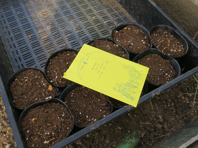ひとつ屋染料農園