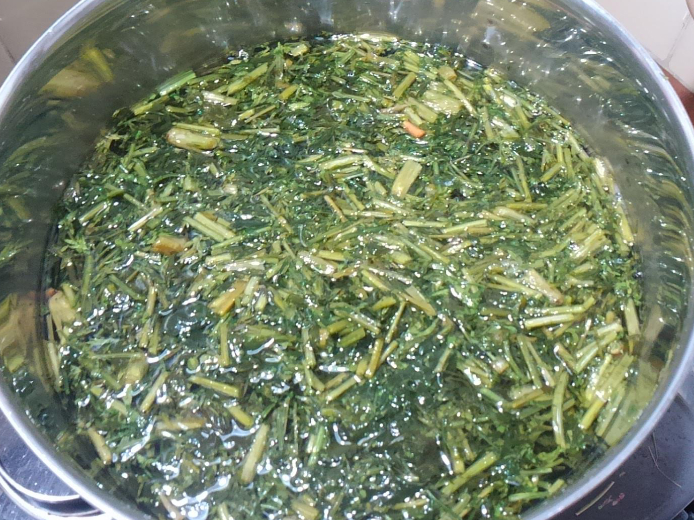 天災は忘れたころにやってくる