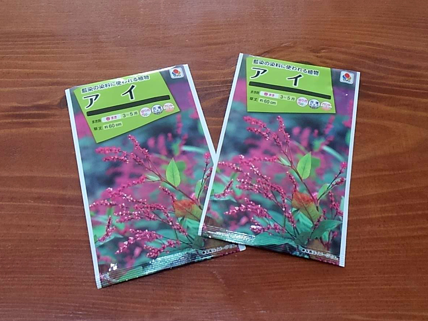 藍の種まき。と、大靑（たいせい）？