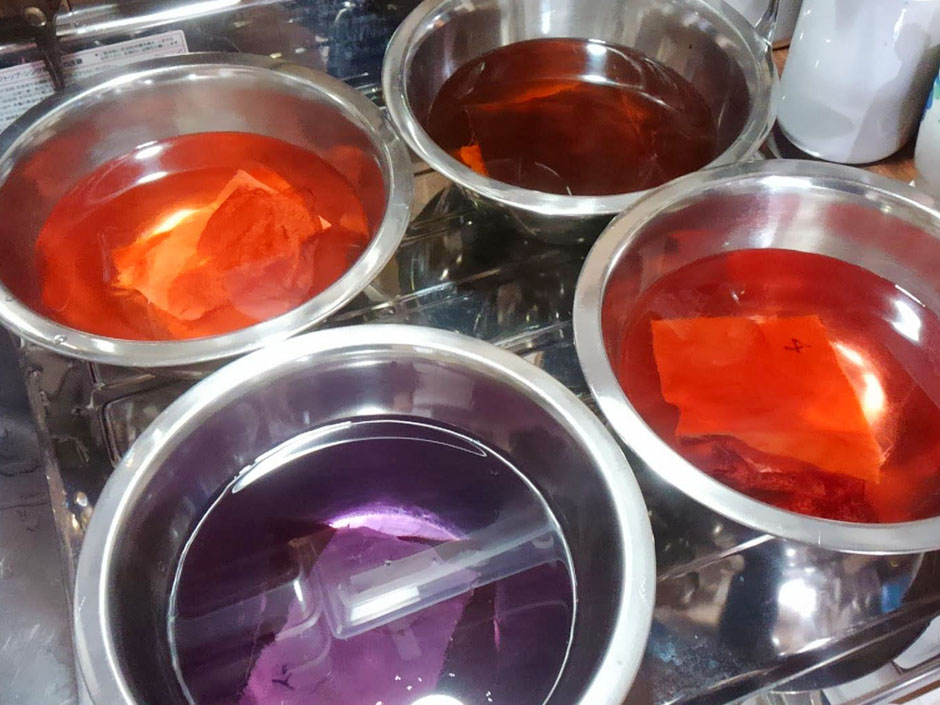 蘇芳(ログウッド)