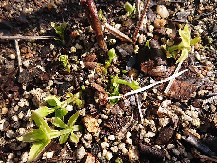 また新しい季節がやってくる