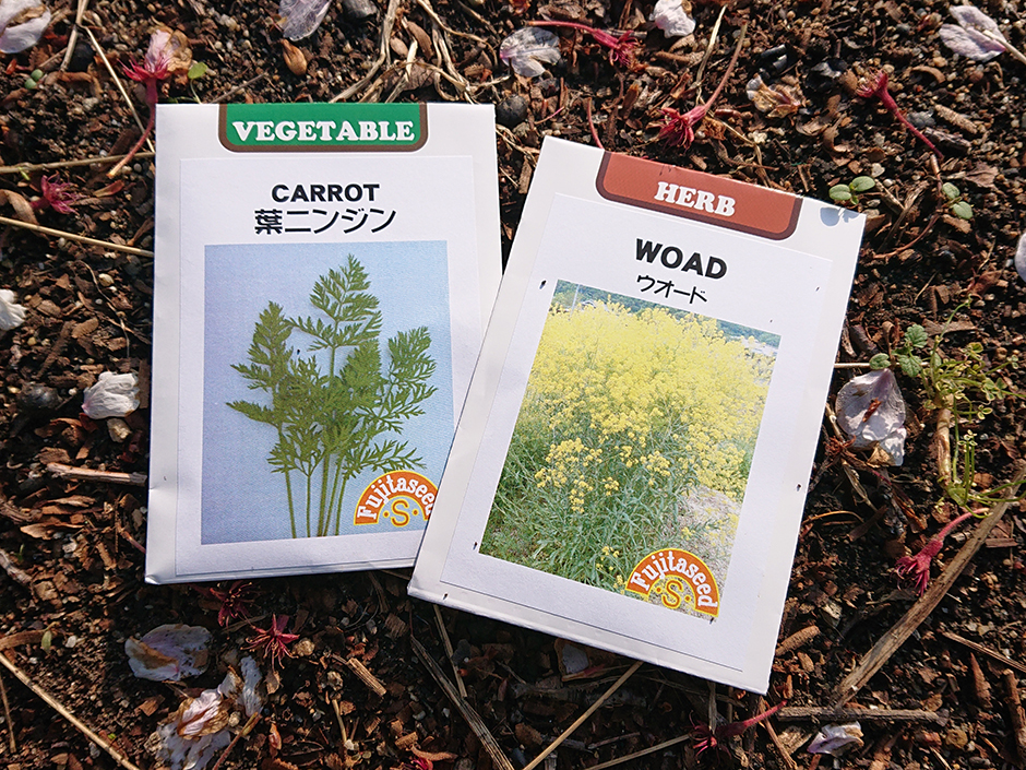 葉ニンジンとウォード