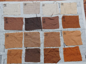 イタドリ染め方（中媒染で濃く染める方法）