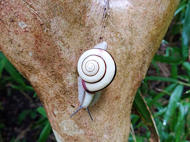 自然の造形美に感動！