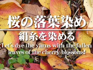 【草木染】桜の紅葉（落ち葉）染めの方法