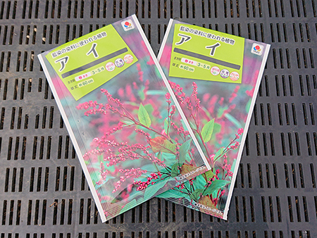 藍の育て方①「種をまく」