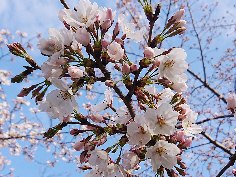 令和三年度が始まります!
