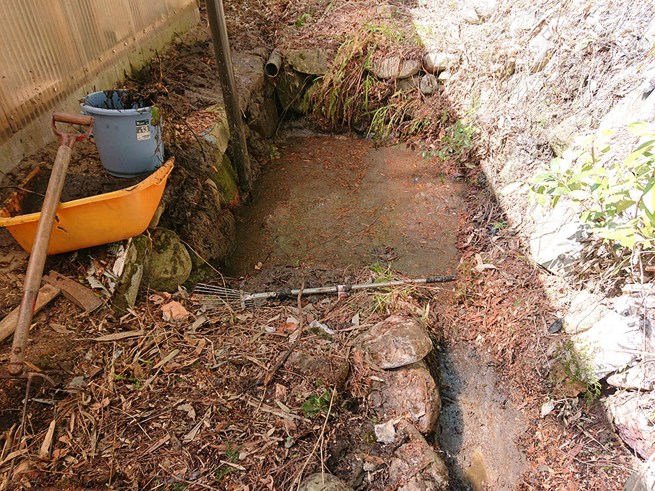 ビオトープ 「生き物を発見」