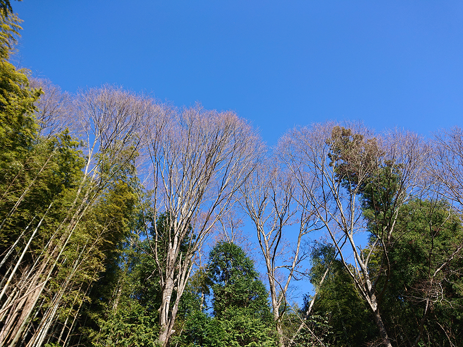 ただ平安を願う