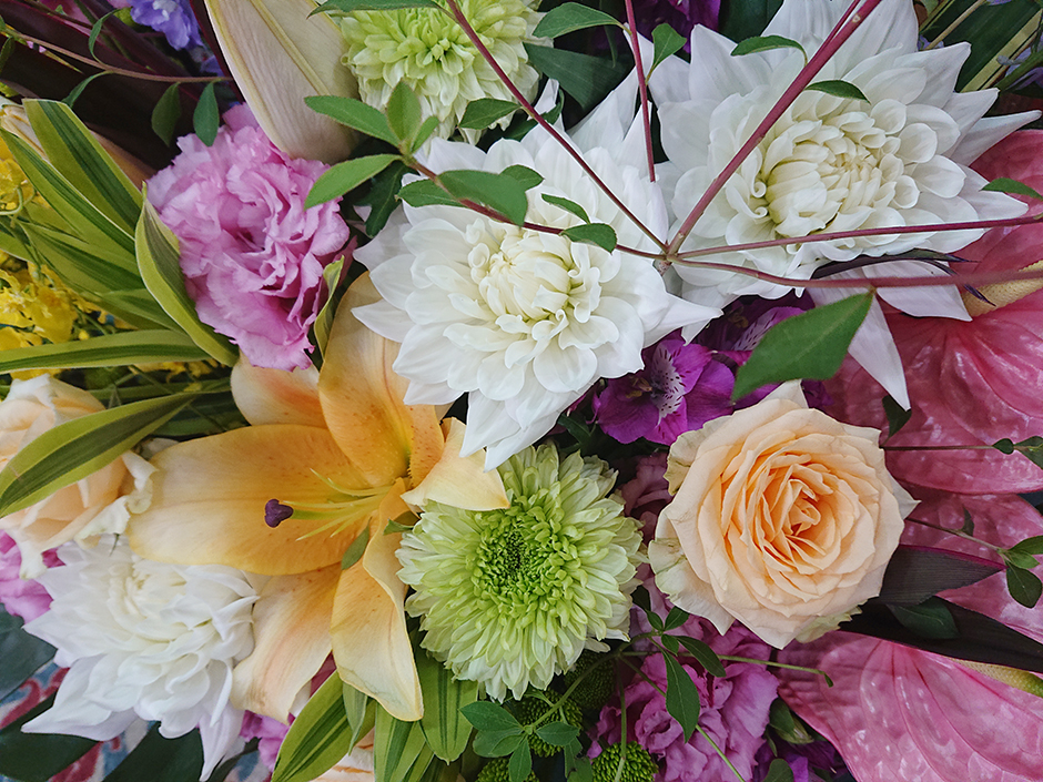 草木染工房 ひとつ屋 + workshop