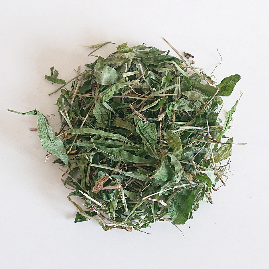 コブナグサ（小鮒草）50g ◆ 草木染（材料）天然・植物染料