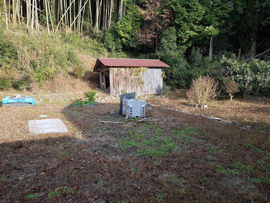 また悪いムシが---。