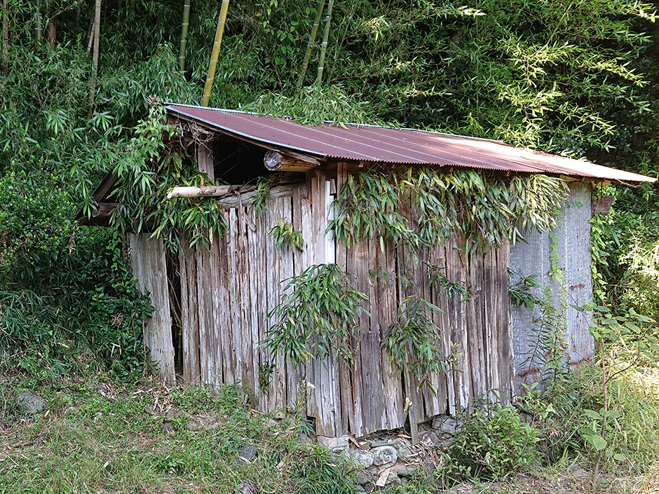 また悪いムシが---。