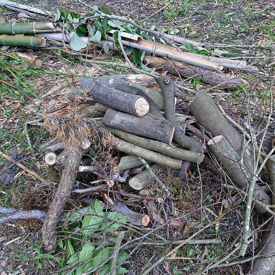 里山のポテンシャル(後編)
