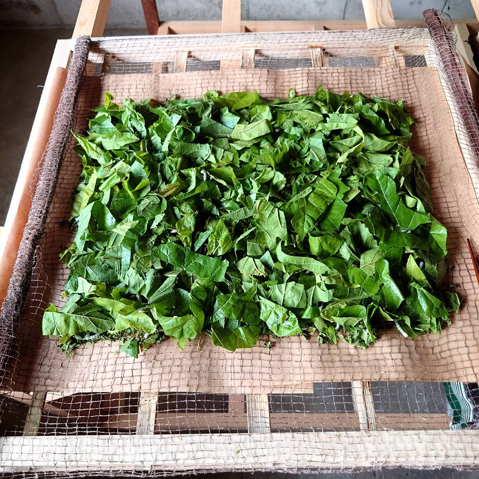 ひとつ屋シルク