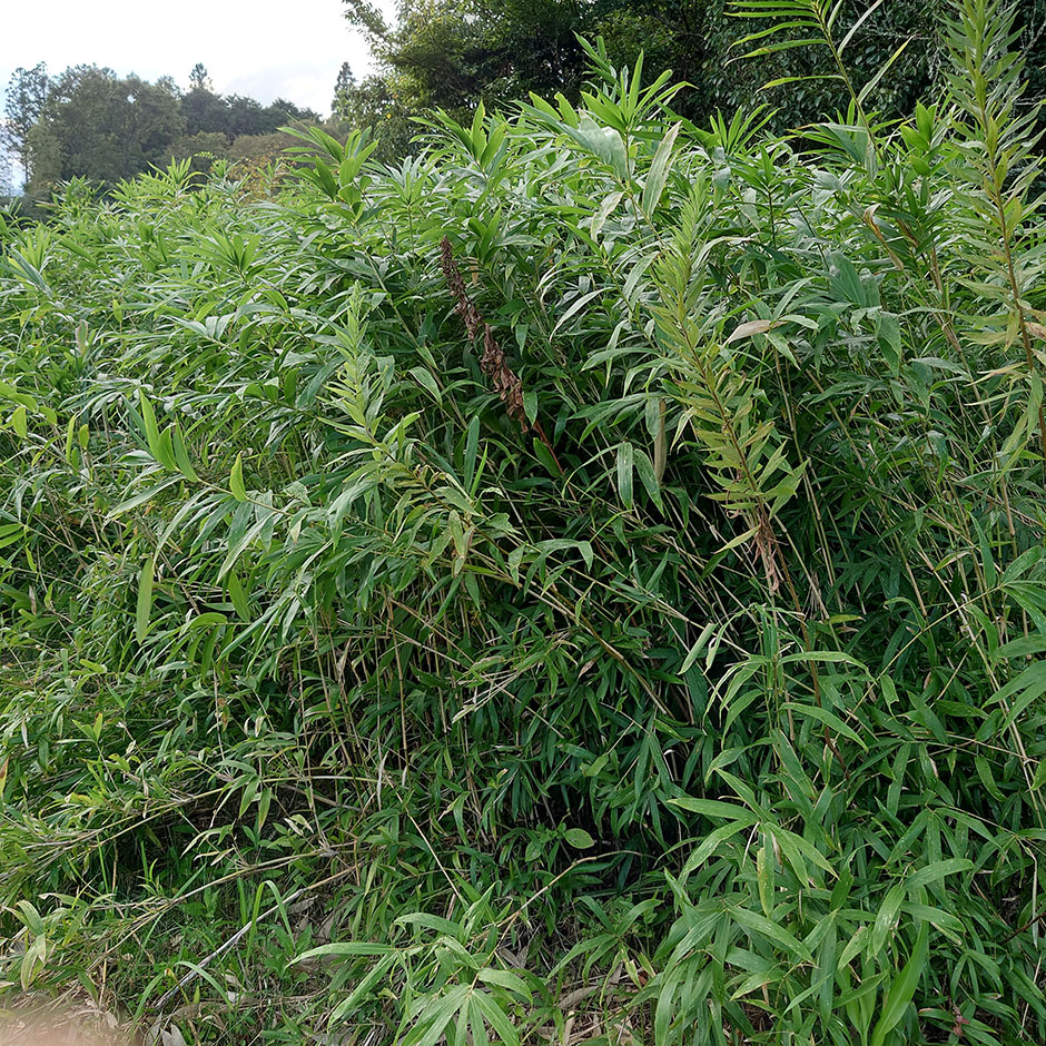 作るための農業 vol.1