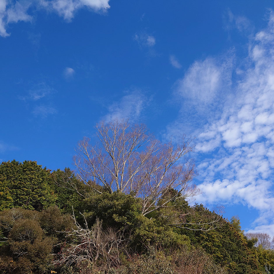 “人を好きである”という思い
