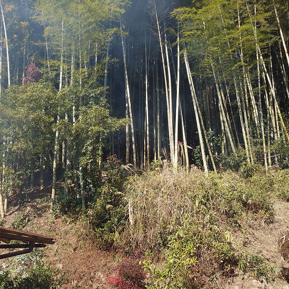ひとつ屋 山茶園「茶畑づくり」Vol.3