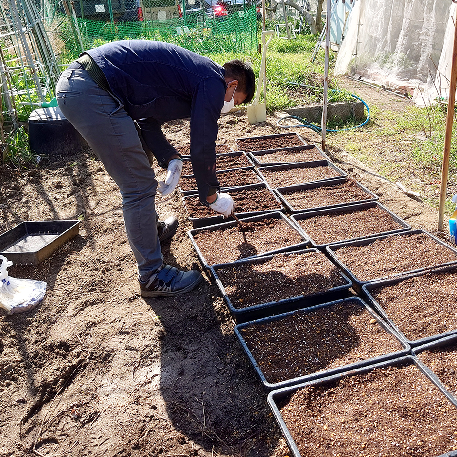 令和6年度 【ひとつ屋染料農園】事始め!