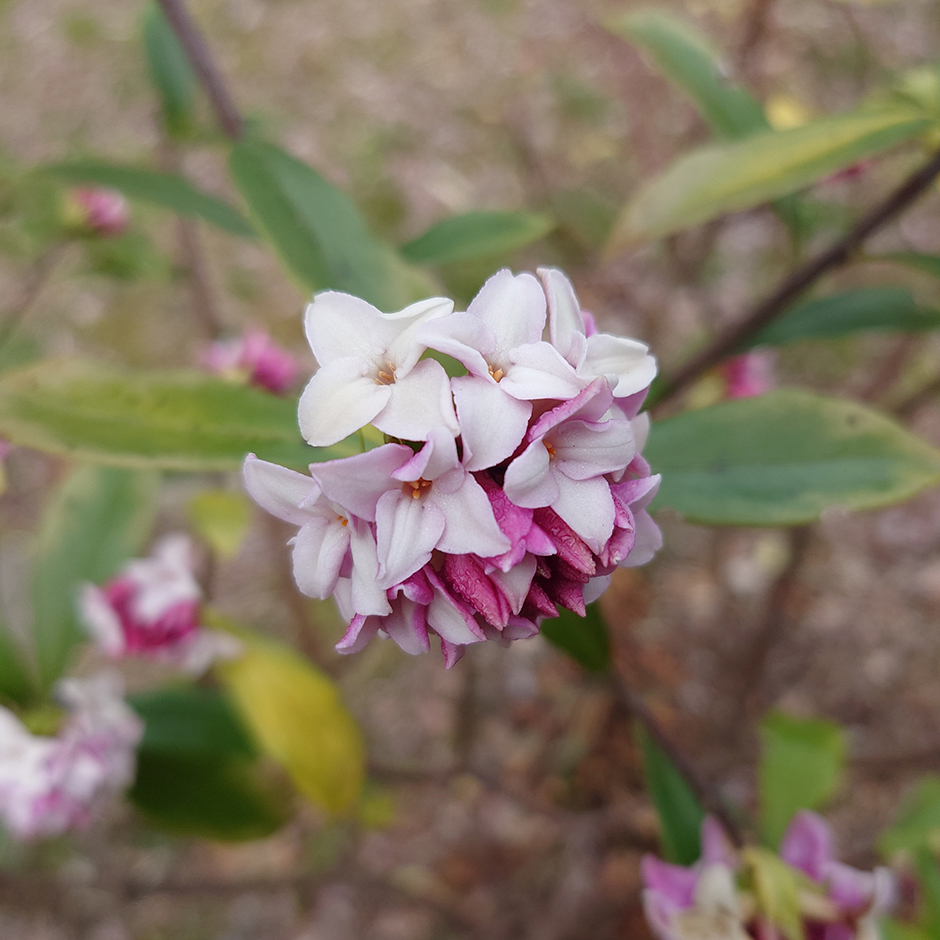 3月22日(金)～24日(日)は「受講生作品展」です！