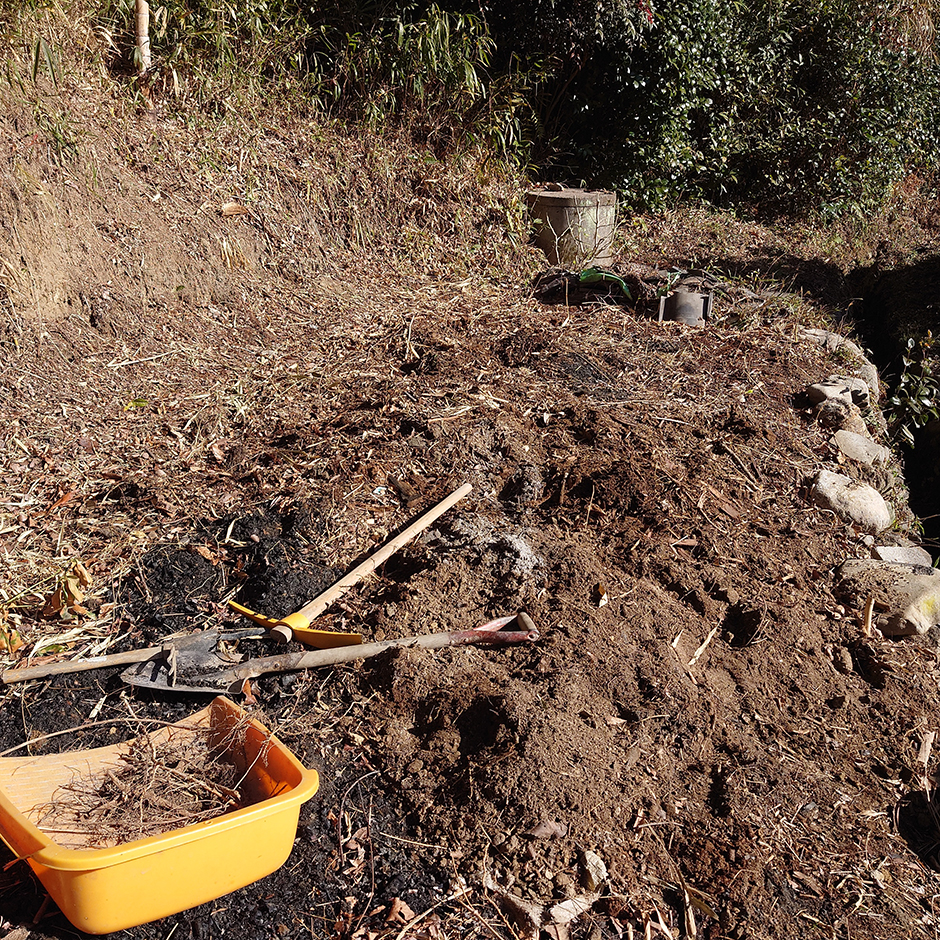 栽培絵日記／24年1月2日（火）晴【家庭菜園】