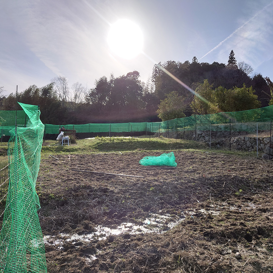 栽培絵日記／24年4月10日（水）晴【獣害柵】