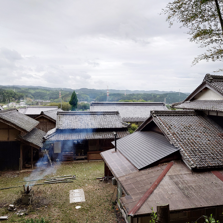 栽培絵日記／24年5月6日（月・休）晴【和綿】