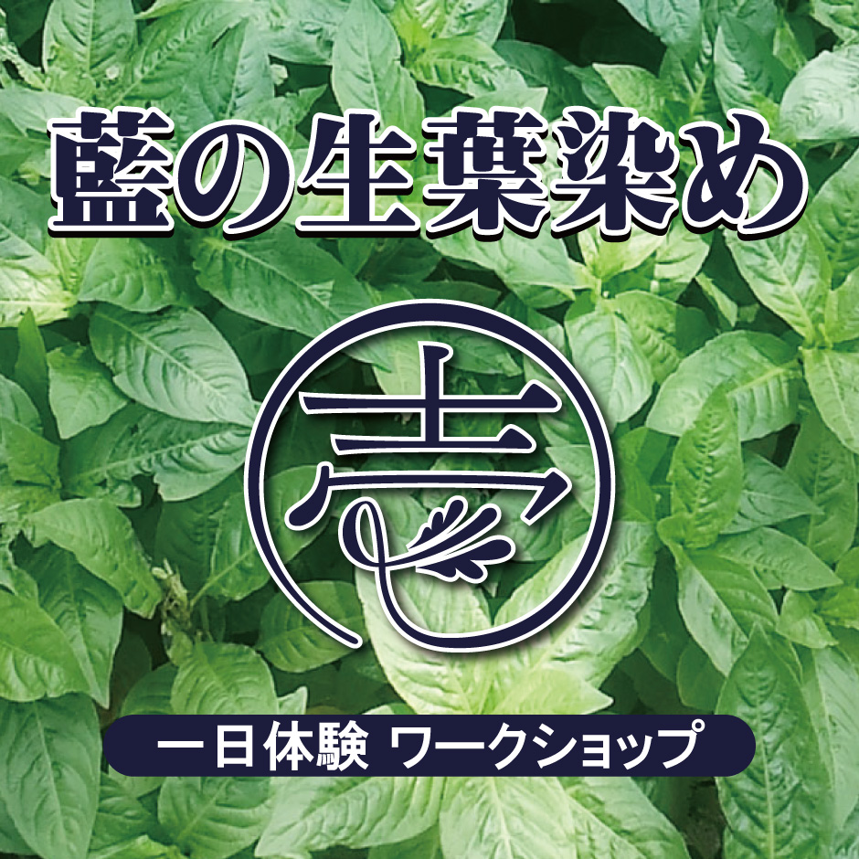 令和6年度「藍の生葉染め」ワークショップ