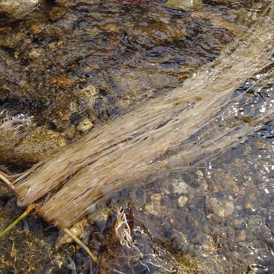 葛糸の作り方 Vol.2