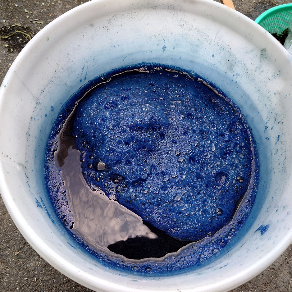 沈殿藍(泥藍・藍錠)づくり(1)