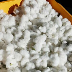 河内木綿の天日干し