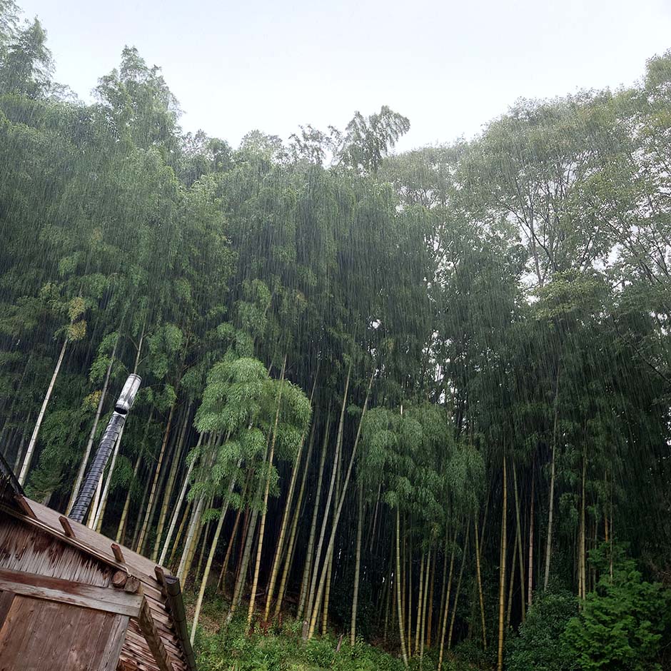 雨音だけを聞きながら