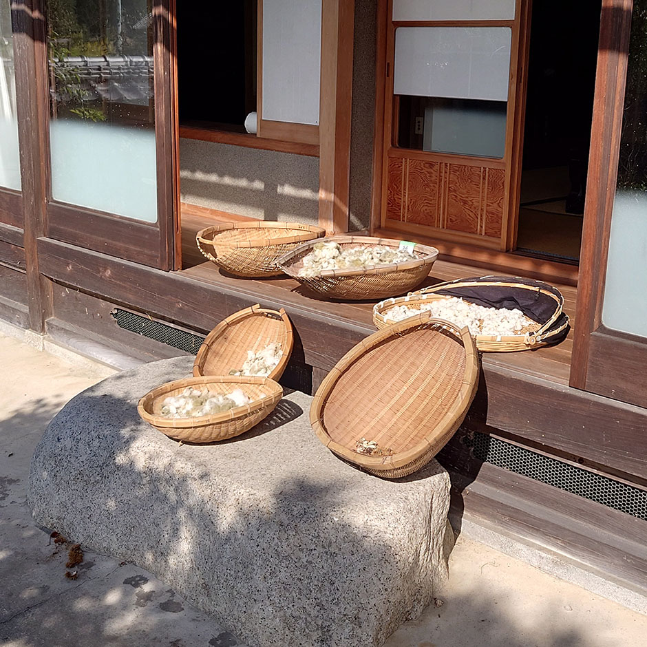 栽培絵日記/24年10月14日(月)晴【紅花と亜麻のタネまき】