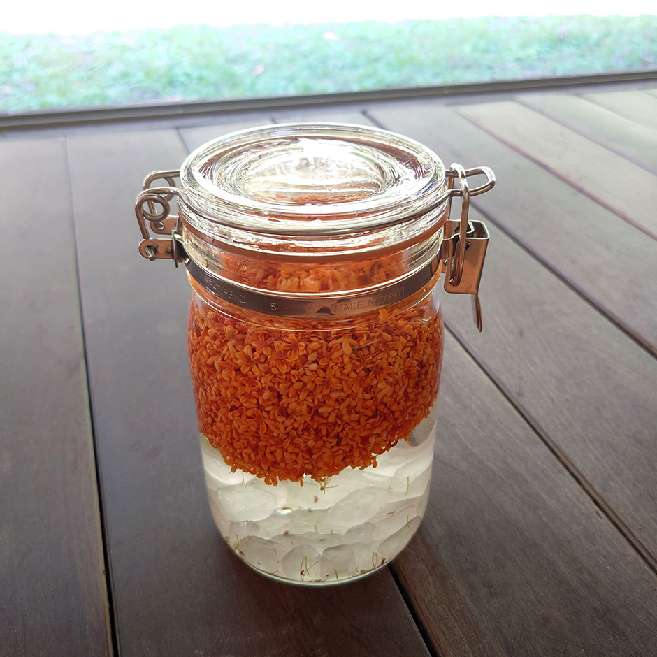 桂花陳酒を作る