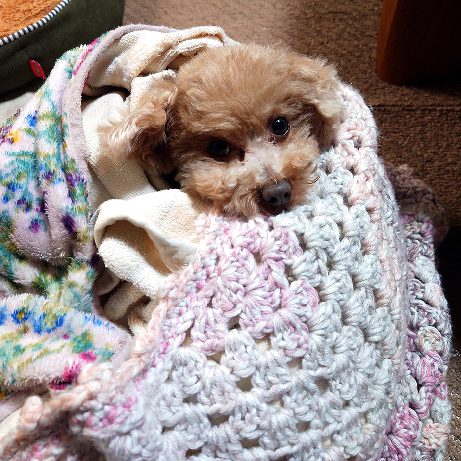 また忙しくなりそうです!