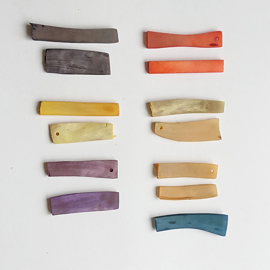 草木染できるもの