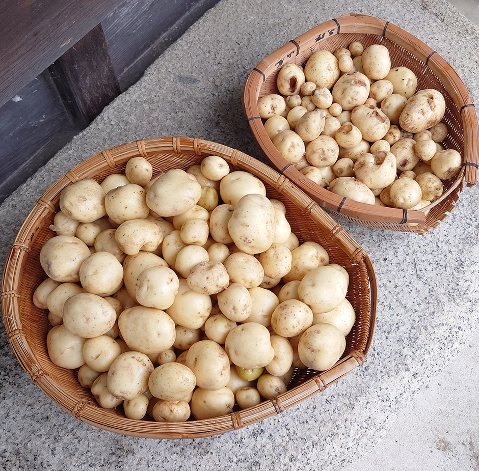 もう「ジャガイモ」は買わない！って話