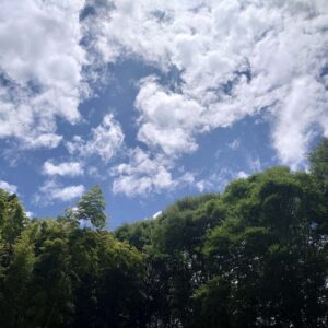 いっぱいの夏空