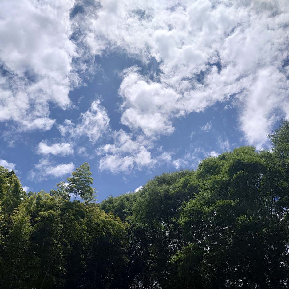 いっぱいの夏空