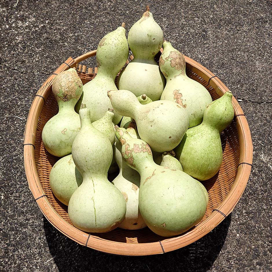 アフリカで使われる瓢箪のボウルを作ってみたい!!