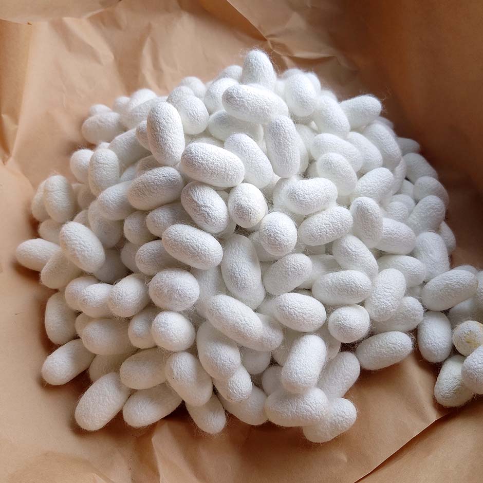 ひとつ屋シルク