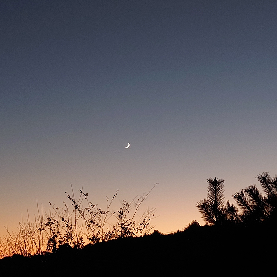 三日月の夕空を見上げて